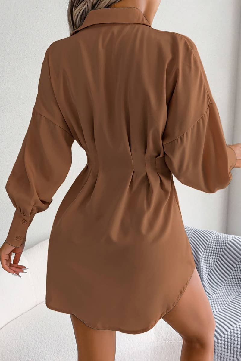 The Little Shoppe: Lantern Sleeve Shirt Dress