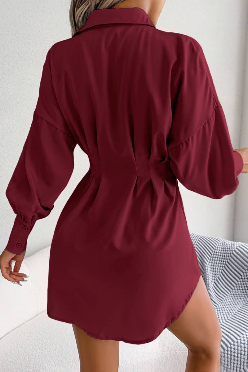 The Little Shoppe: Lantern Sleeve Shirt Dress