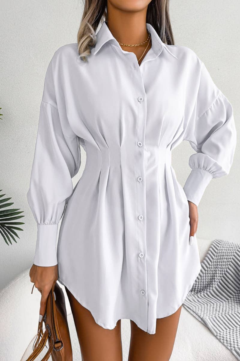 The Little Shoppe: Lantern Sleeve Shirt Dress