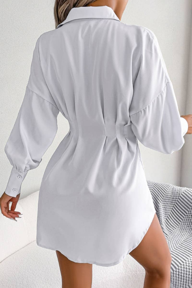 The Little Shoppe: Lantern Sleeve Shirt Dress